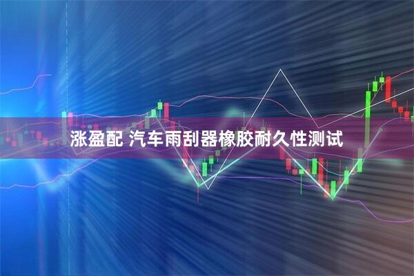 涨盈配 汽车雨刮器橡胶耐久性测试