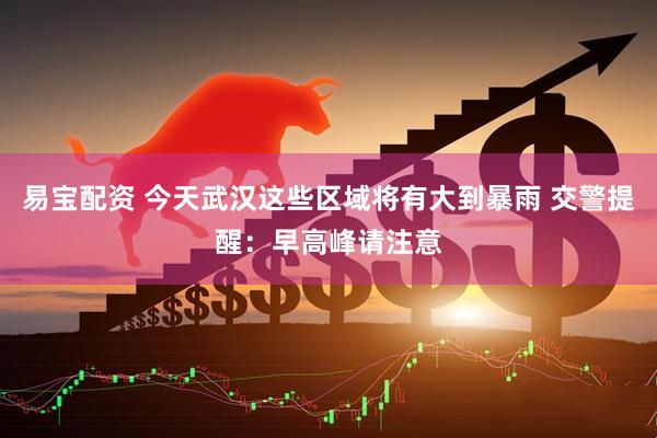 易宝配资 今天武汉这些区域将有大到暴雨 交警提醒：早高峰请注意